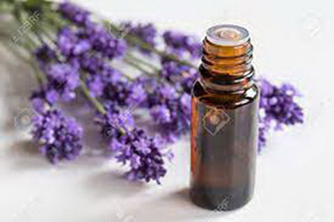 ETARSKO ULJE LAVANDA 10ml ACTIVITY