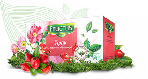 FRUCTUS FILTER CAJ SIPAK
