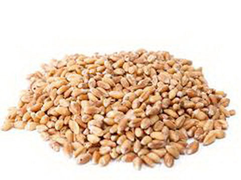 PAKOVANA PSENICA BELIJA 5/1