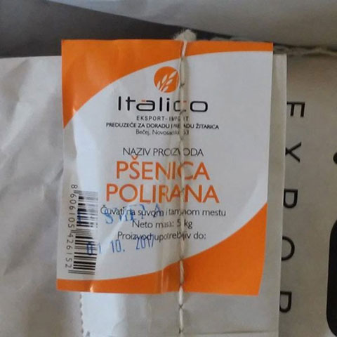 PSENICA POLIRANA 5/1 ITALICO