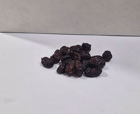 SUŠENA BRUSNICA 1KG