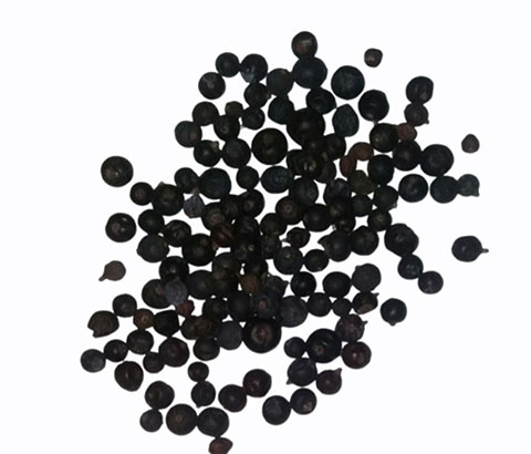 CAJ KLEKA PLOD 1KG
