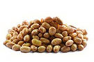 SOJA PRZENA SLANA 2kg KRCKO